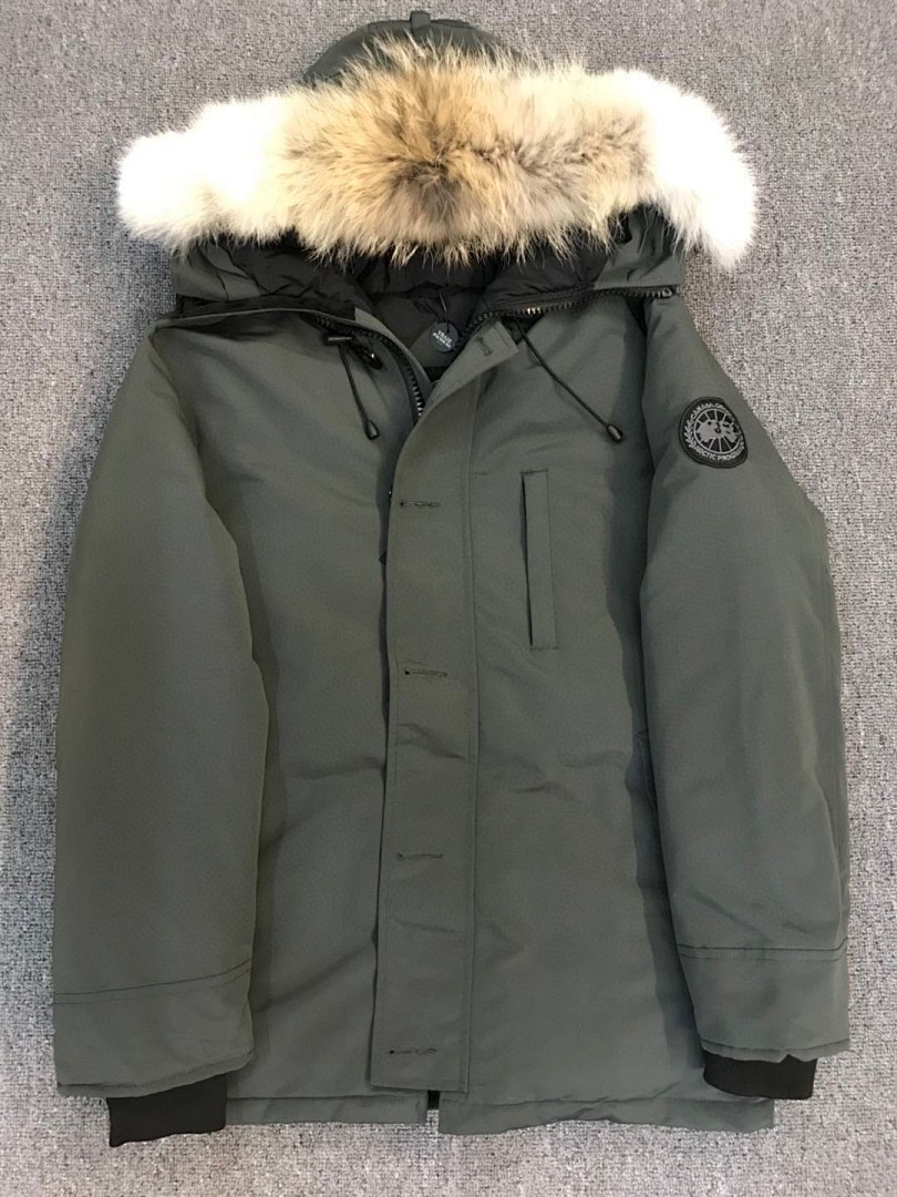 DE156 Canada Goose, photo 1