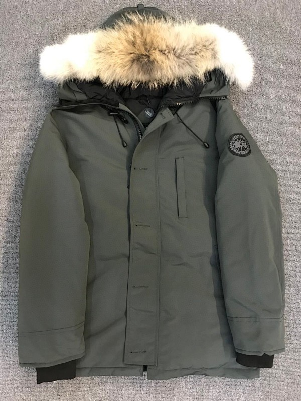 DE156 Canada Goose, photo 1