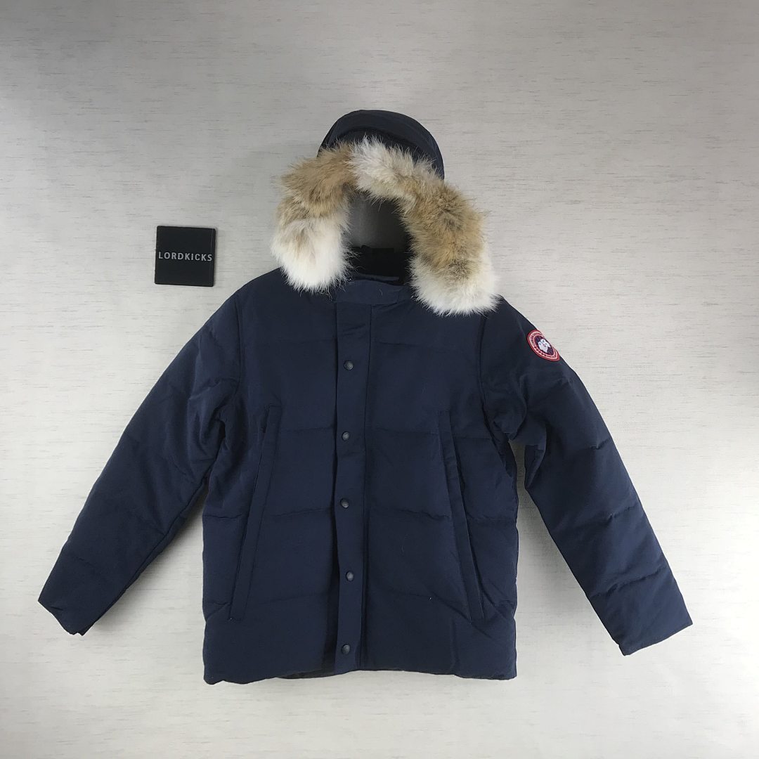 DE51 Canada Goose, photo 1