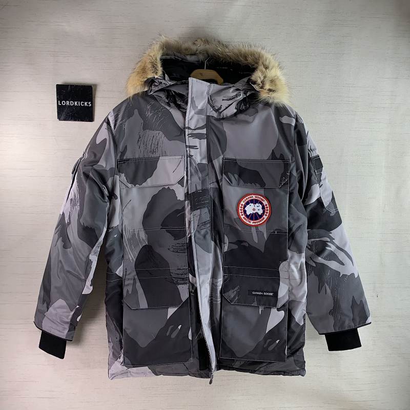 DE197 Canada Goose, photo 1