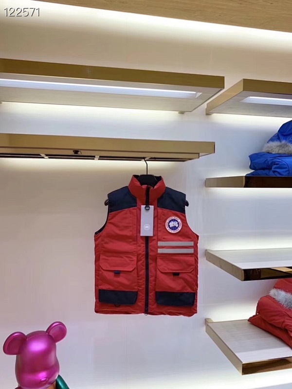 DE15 Canada Goose, photo 1