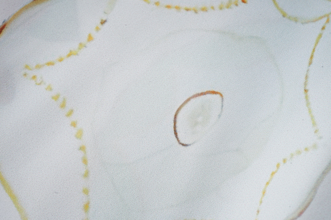 Other 6666 - Image 10