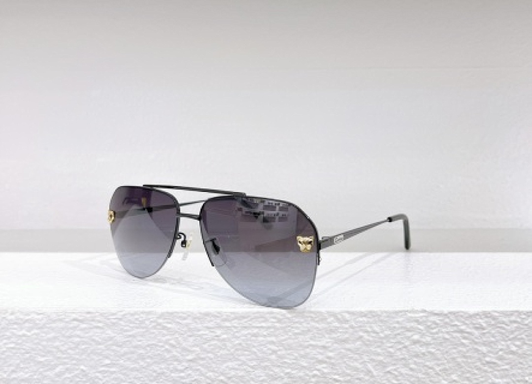 Other Cartier Sunglasses - Image 33