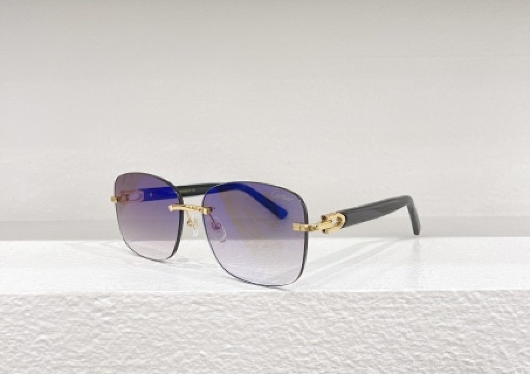 Other Cartier Sunglasses - Image 71