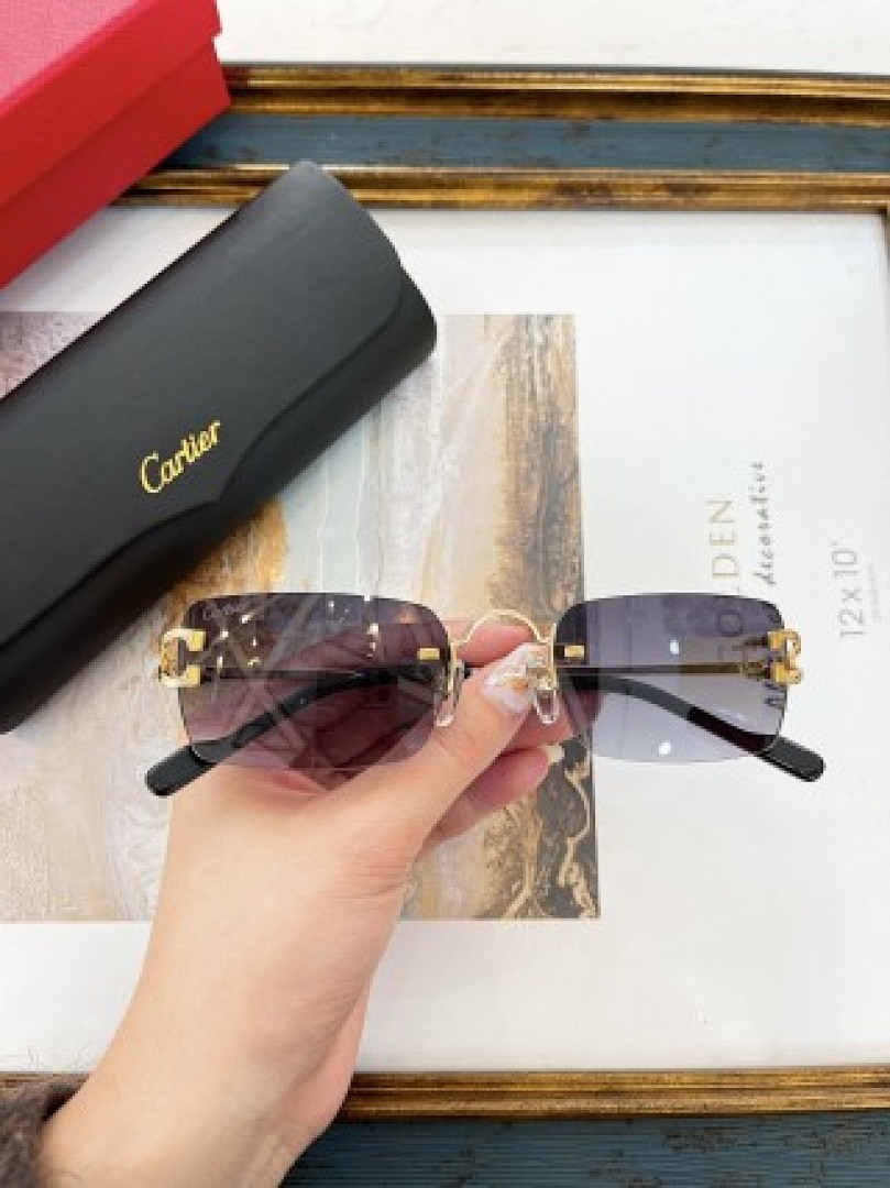 Other Cartier Sunglasses - Image 84