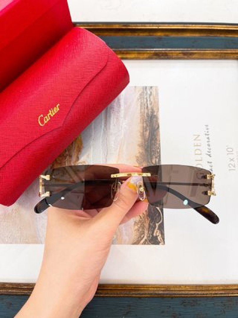 Other Cartier Sunglasses - Image 24