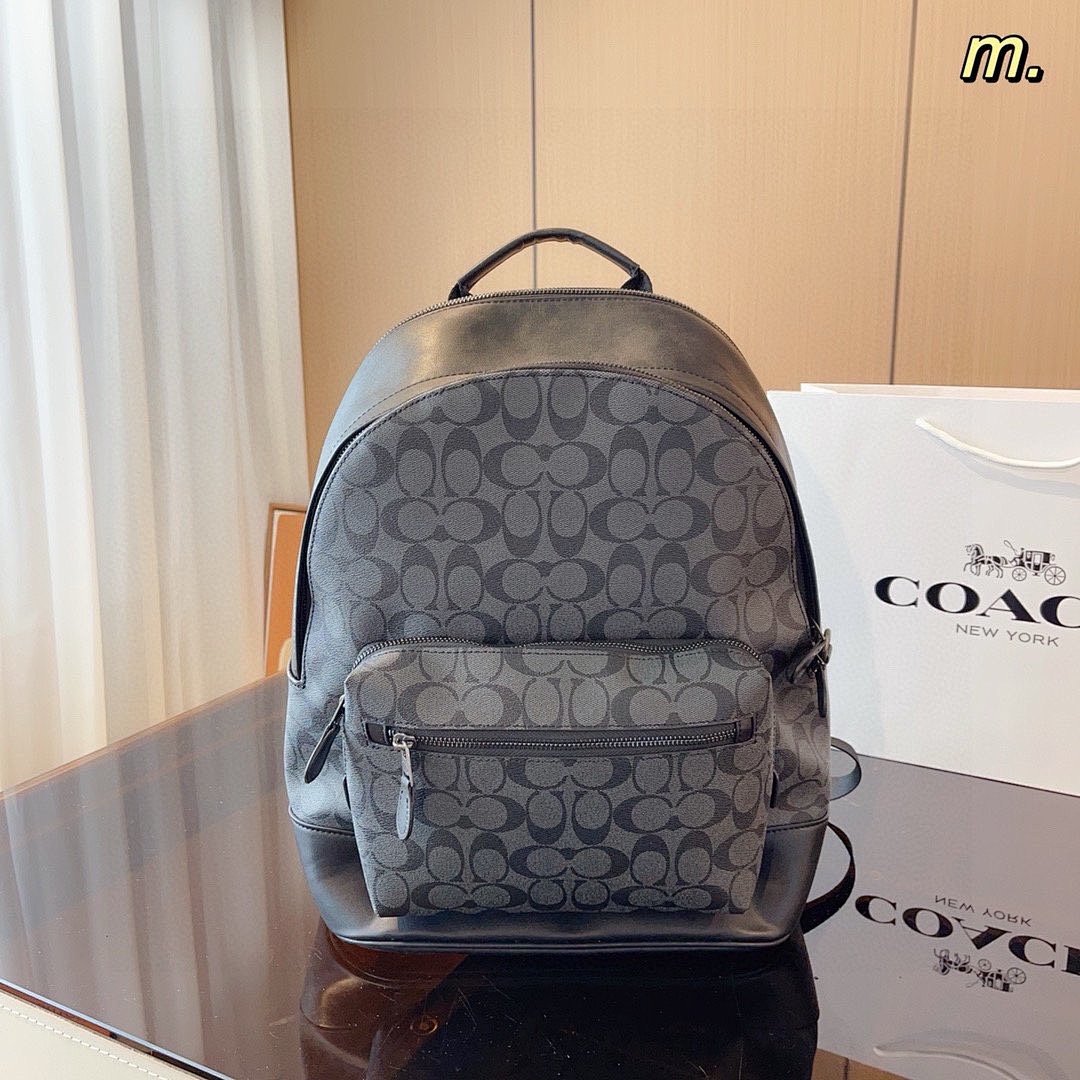 Other Coach - Image 6
