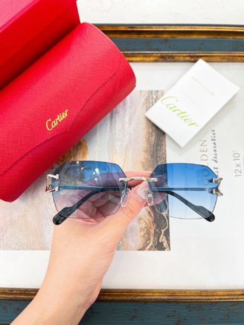 Other Cartier Sunglasses - Image 26