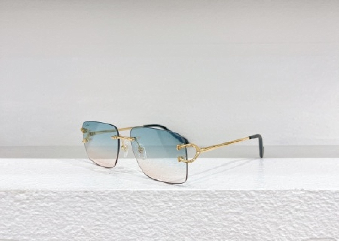 Other Cartier Sunglasses - Image 38