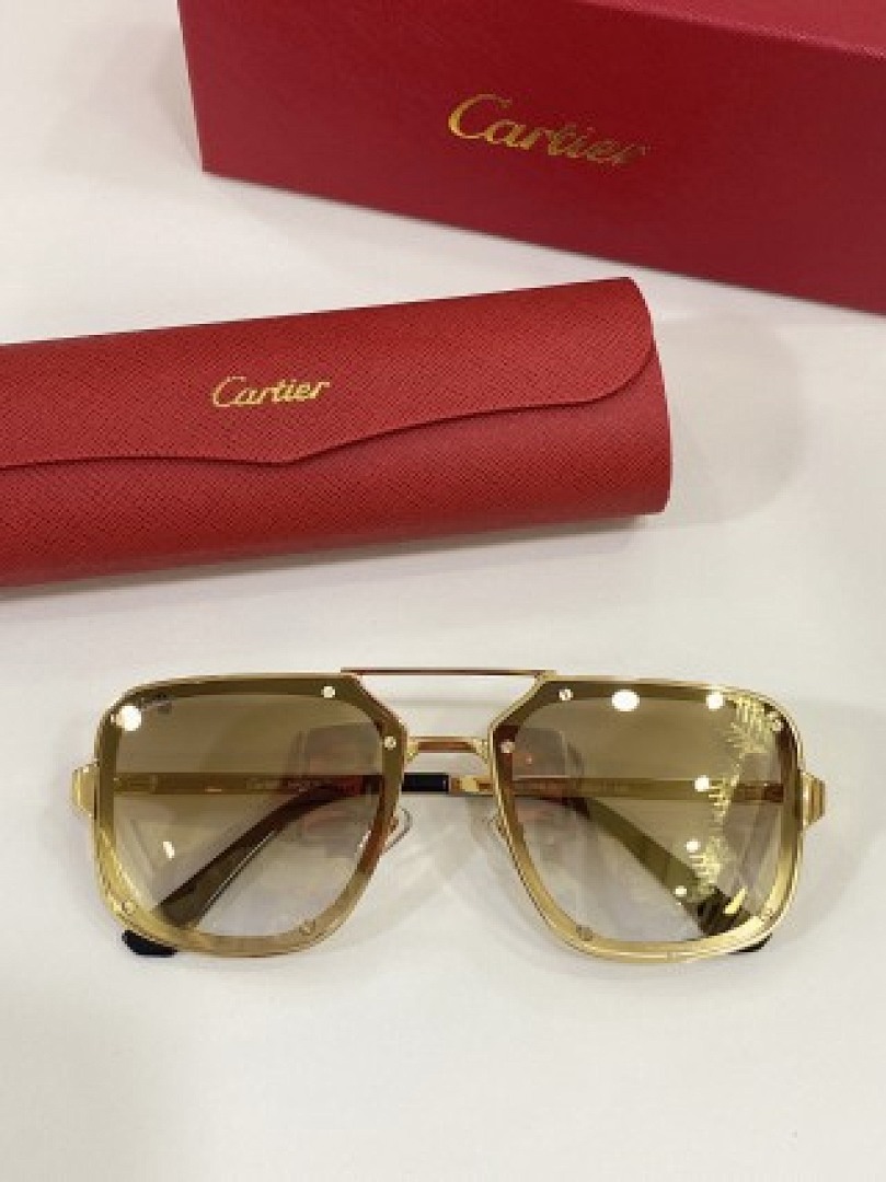 Other Cartier Sunglasses - Image 18