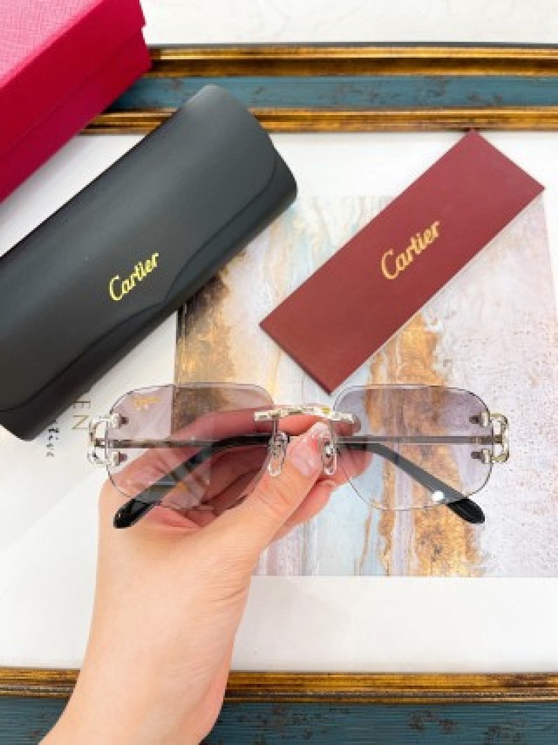 Other Cartier Sunglasses - Image 53