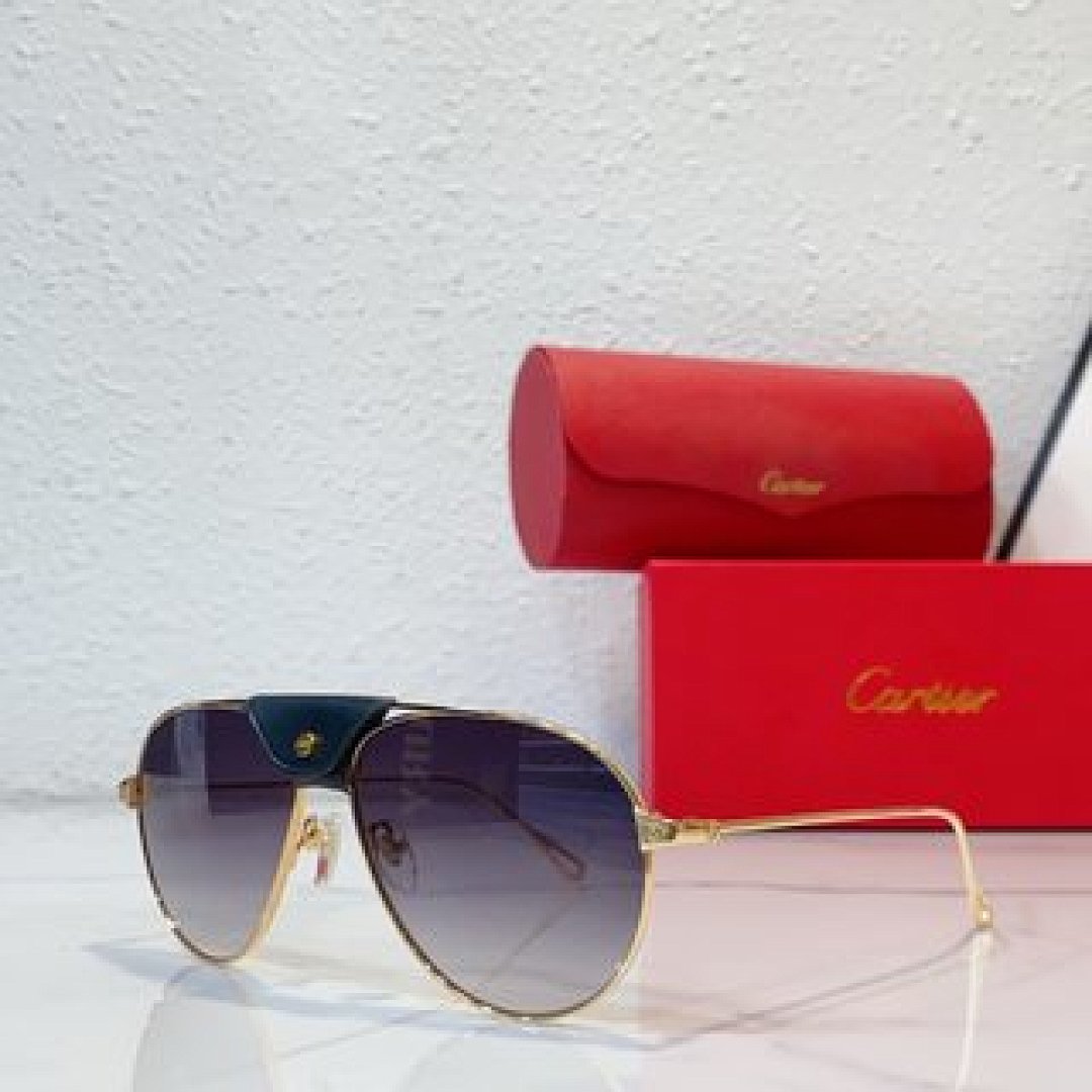 Other Cartier Sunglasses - Image 117