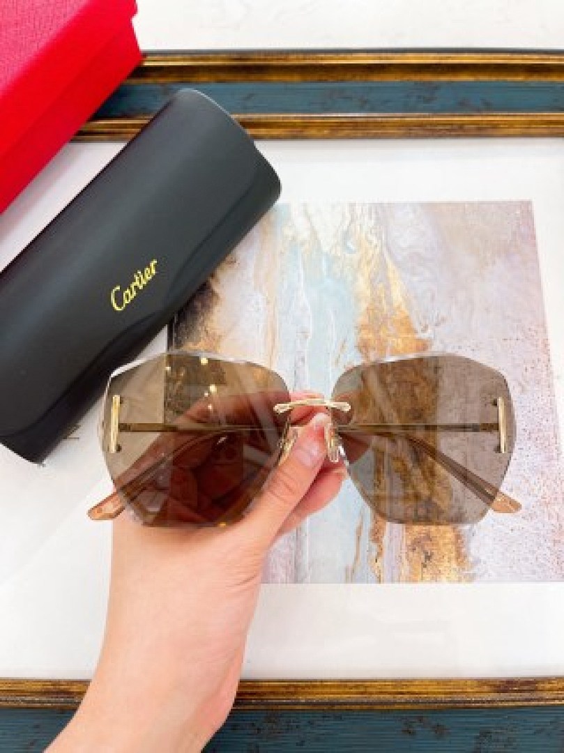 Other Cartier Sunglasses - Image 47