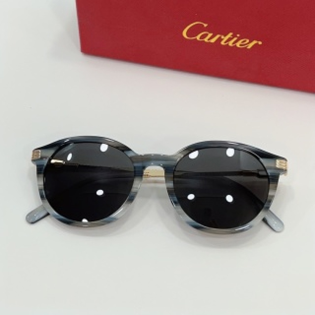 Other Cartier Sunglasses - Image 40