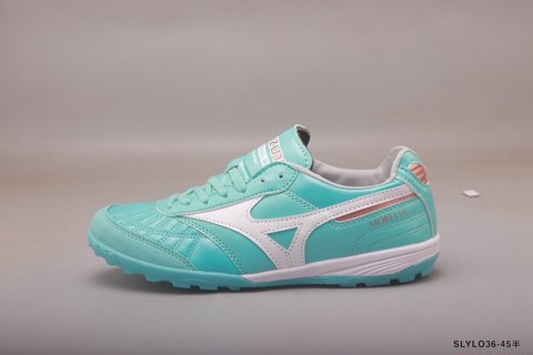 Other Mizuno - Image 83