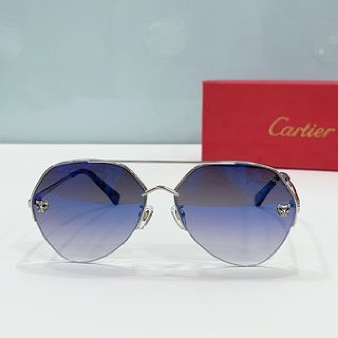 Other Cartier Sunglasses - Image 72
