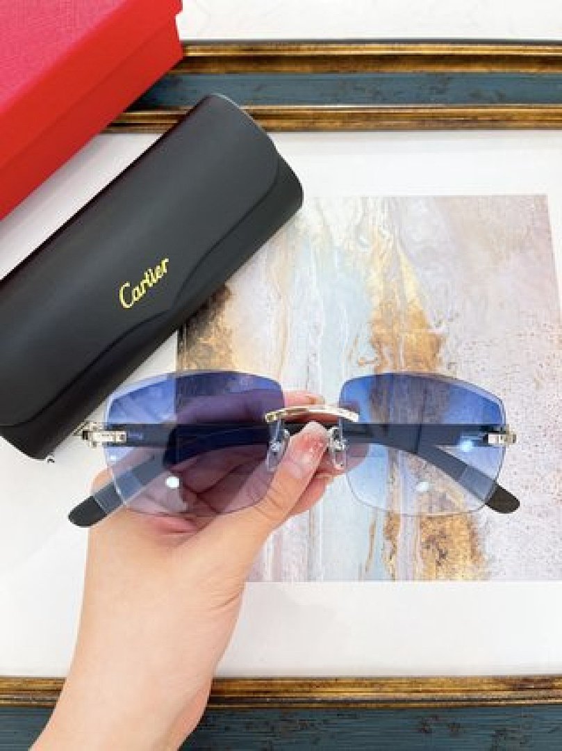 Other Cartier Sunglasses - Image 50