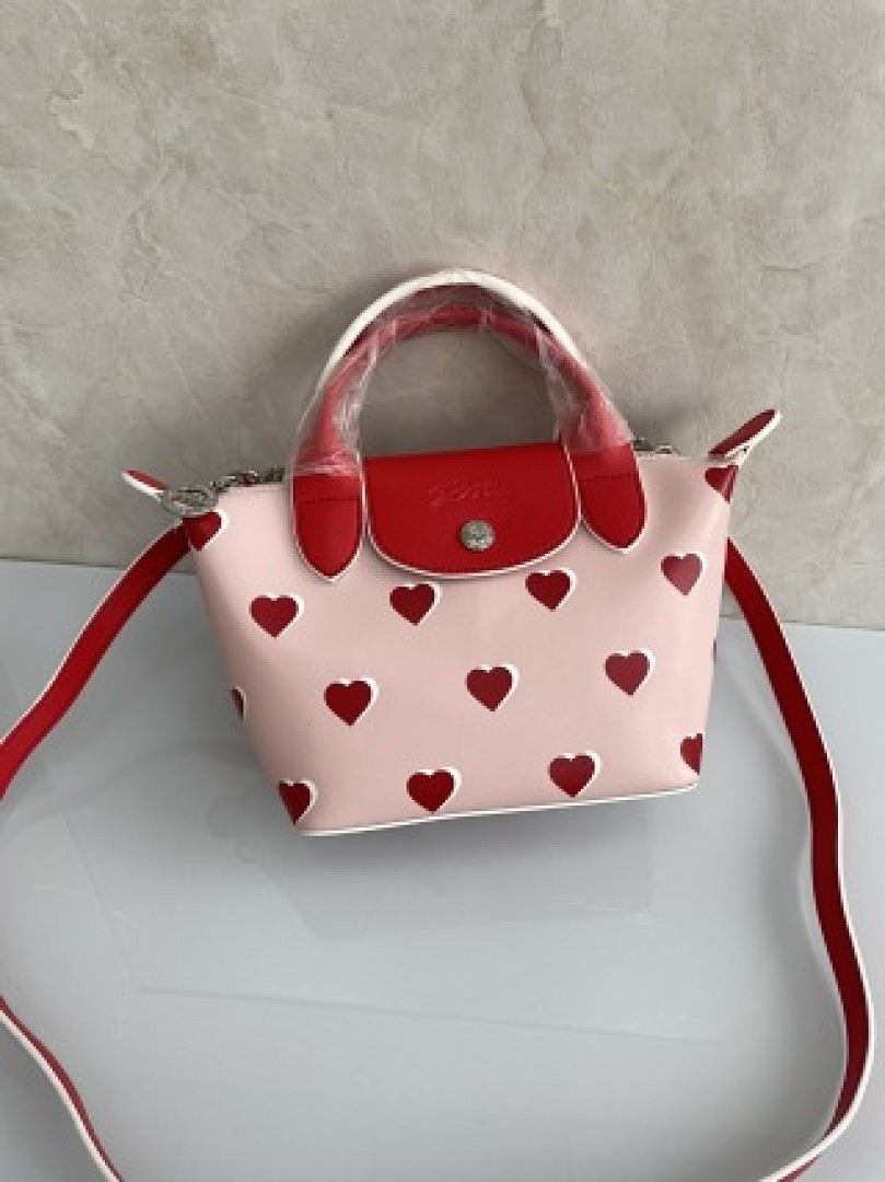 Other Longchamp
