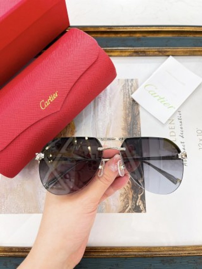 Other Cartier Sunglasses - Image 68