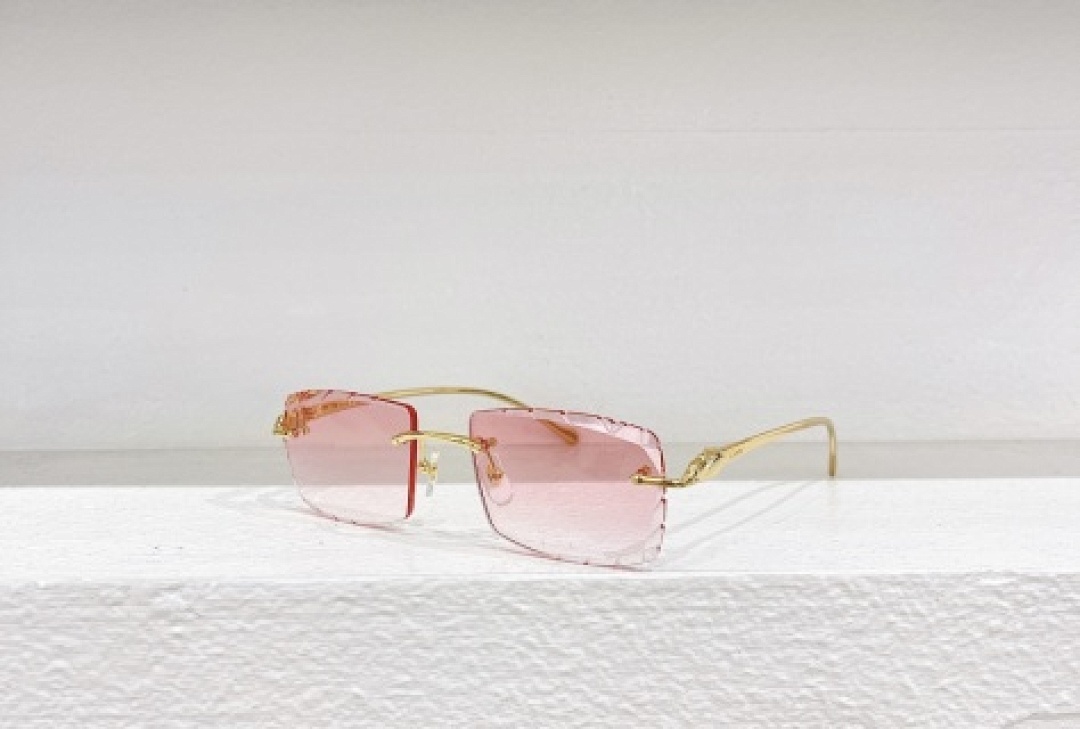 Other Cartier Sunglasses - Image 95
