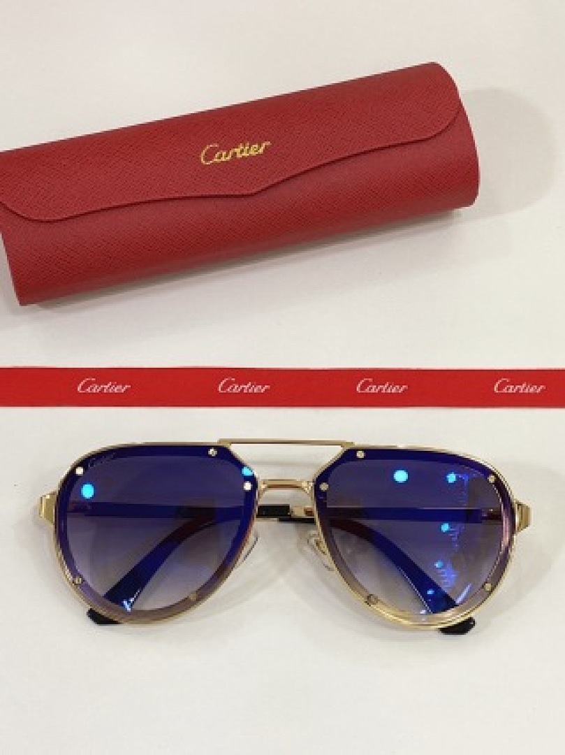 Other Cartier Sunglasses - Image 16