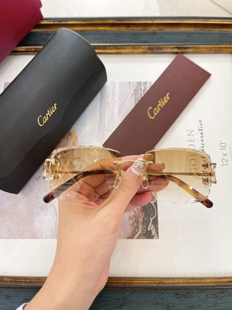Other Cartier Sunglasses - Image 102
