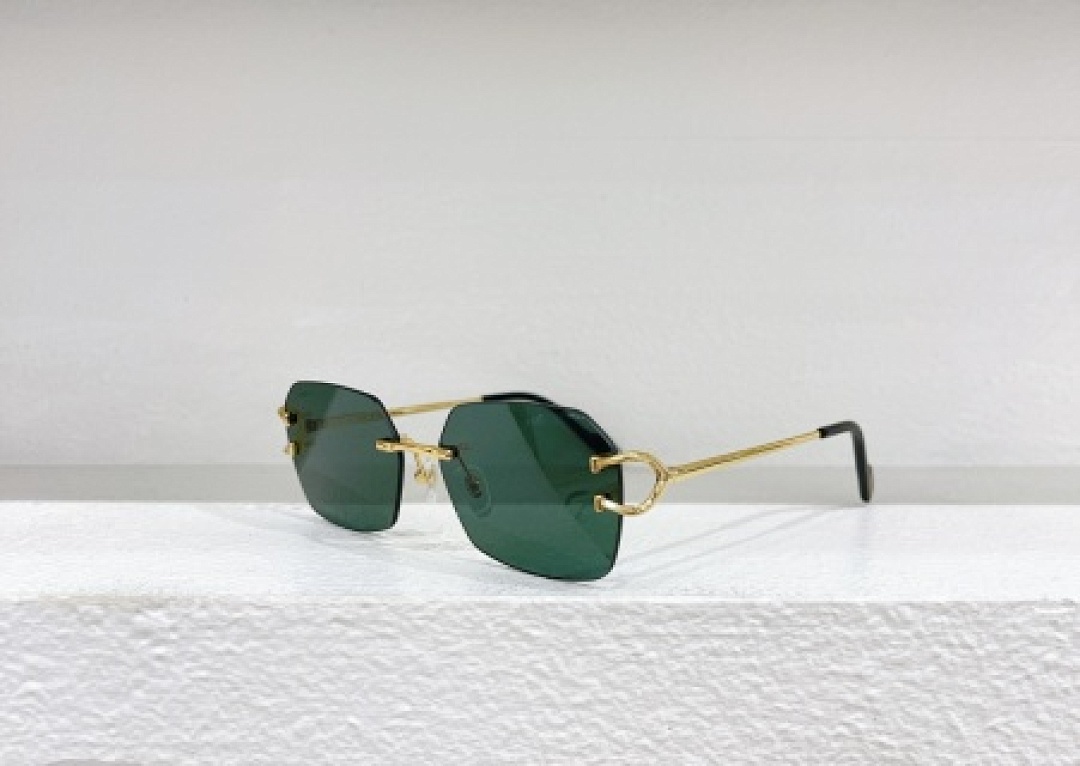 Other Cartier Sunglasses - Image 25
