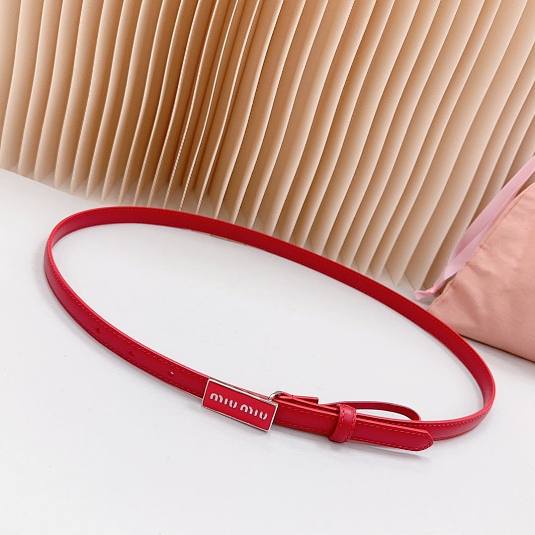 Other Belt