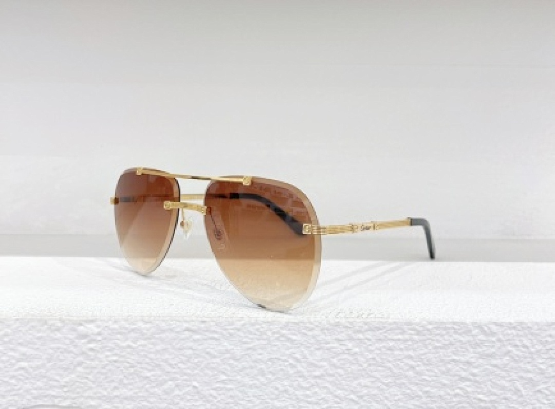 Other Cartier Sunglasses - Image 79