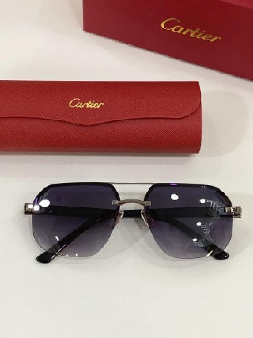 Other Cartier Sunglasses - Image 14
