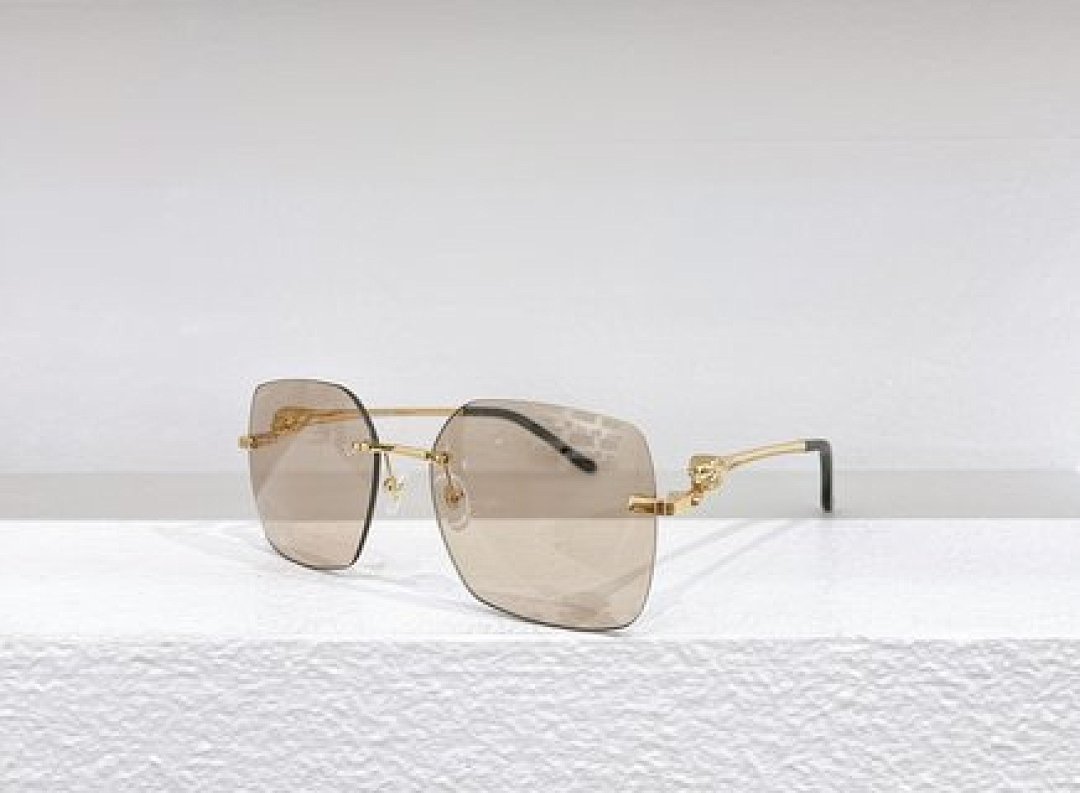Other Cartier Sunglasses - Image 29