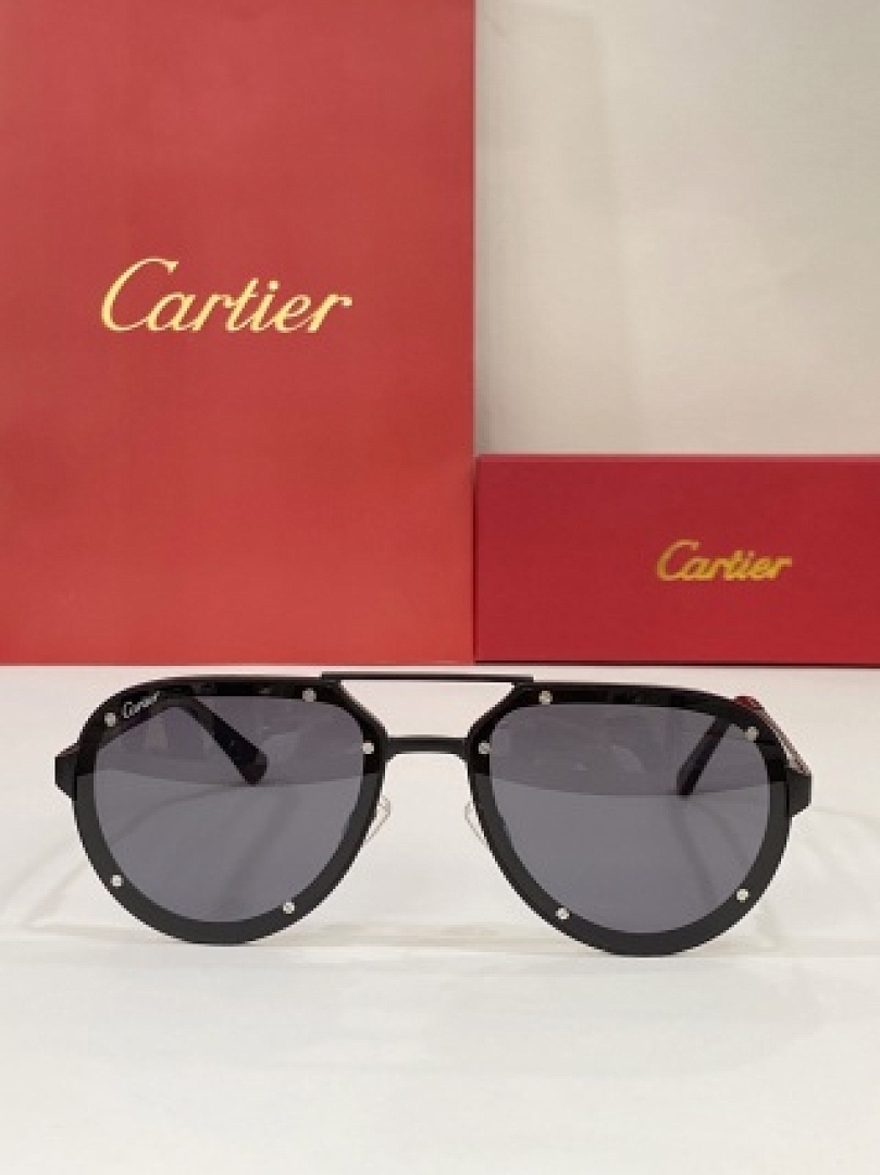 Other Cartier Sunglasses - Image 15