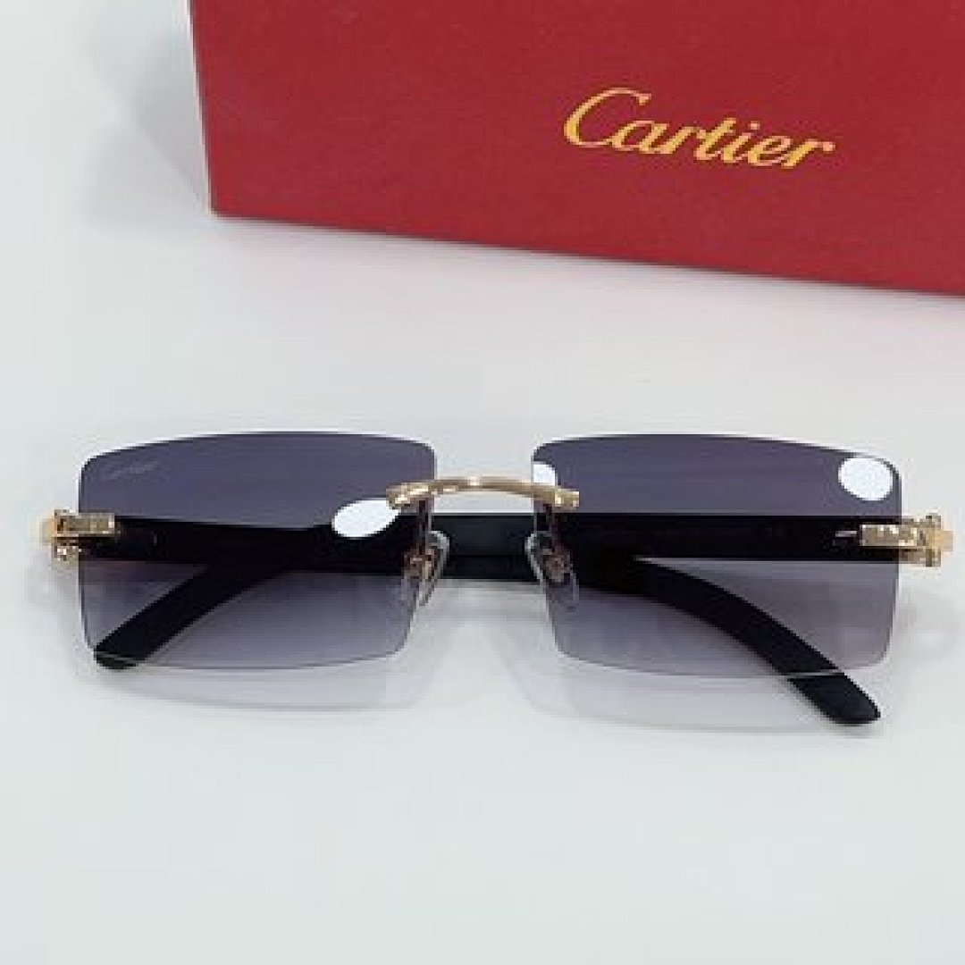 Other Cartier Sunglasses - Image 27