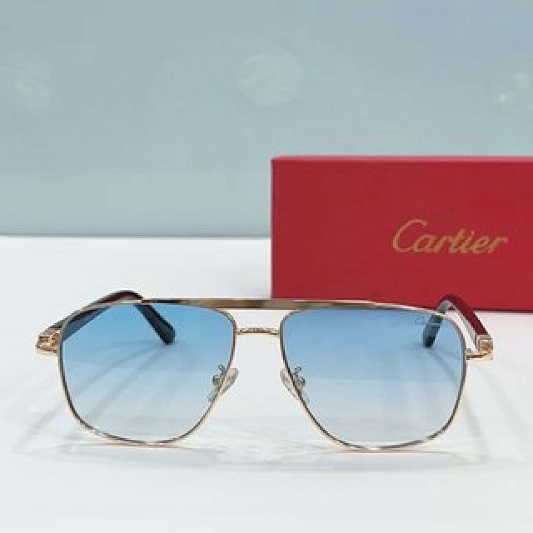 Other Cartier Sunglasses - Image 69