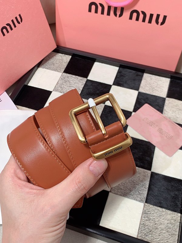 Other Belt, photo 1