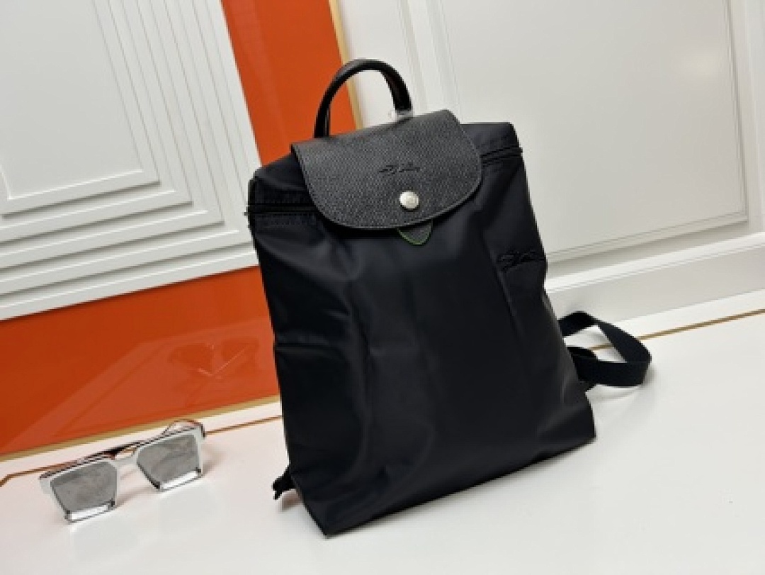 Other Longchamp - Image 20