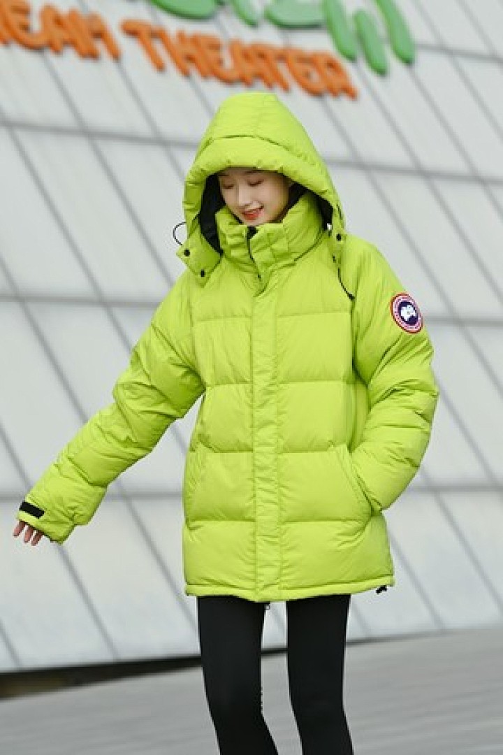 Christian Louboutin Canada Goose - Image 70