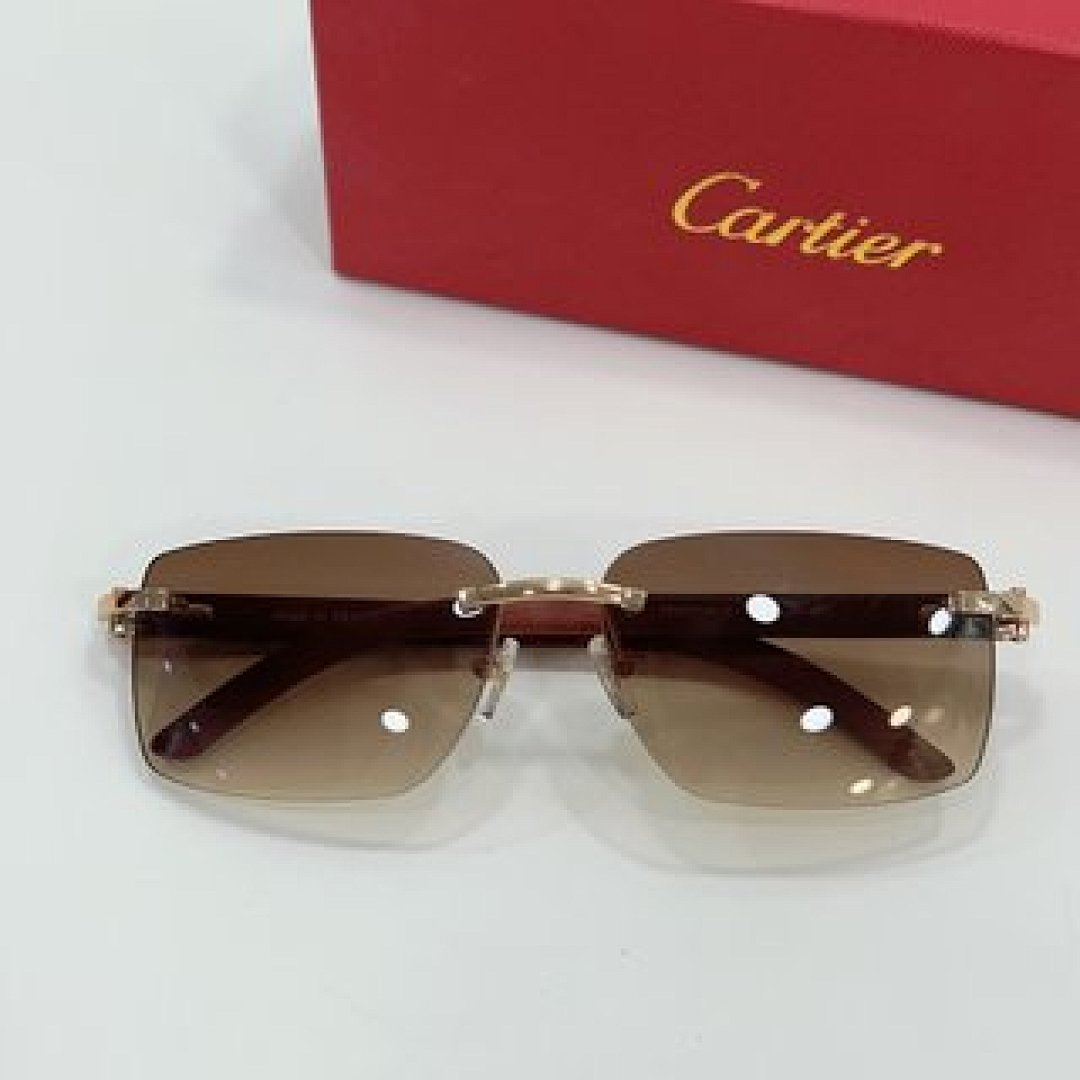 Other Cartier Sunglasses - Image 28