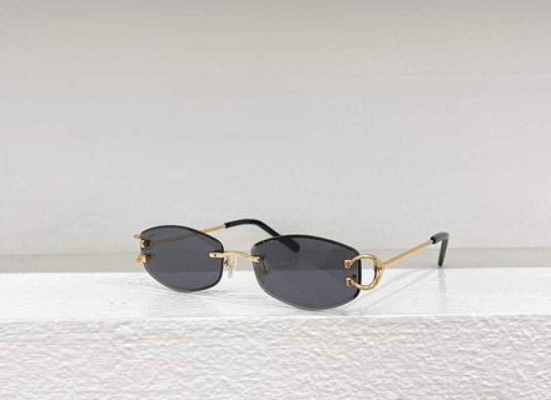 Other Cartier Sunglasses - Image 99