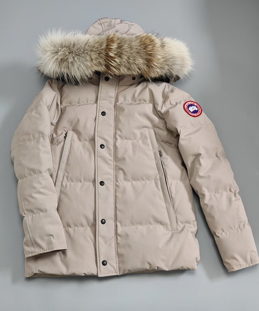 CG Canada Goose CG Grey, photo 1