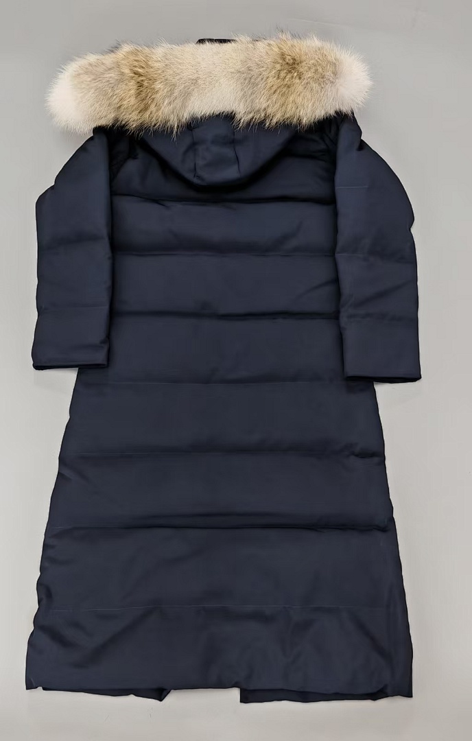 CG Blue - Image 5
