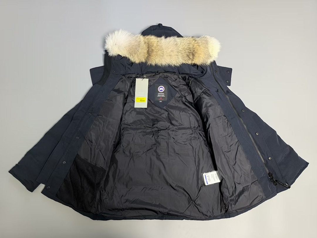 CG Blue - Image 10