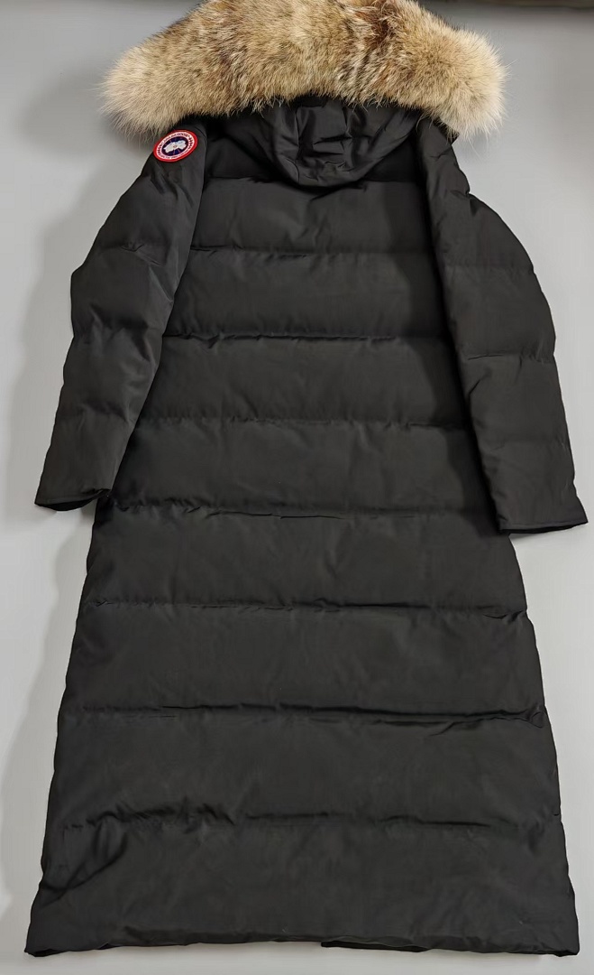 CG Black - Image 5