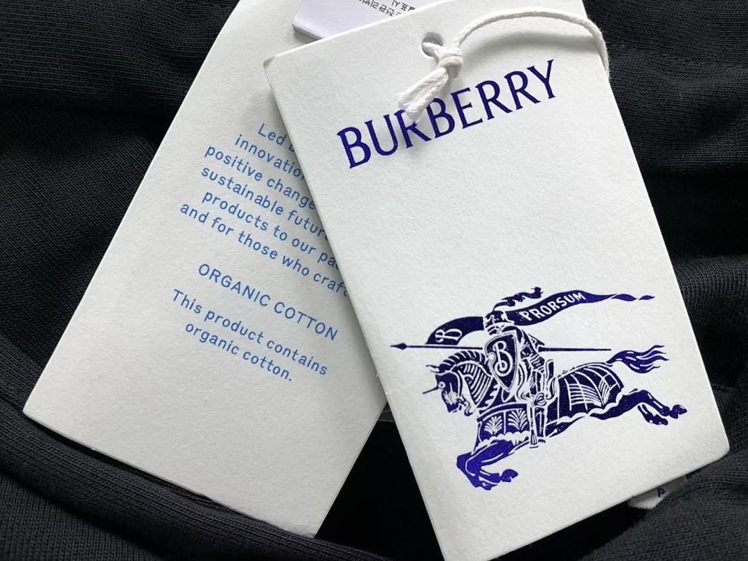Burberry 185 B⭐R⭐E⭐RY HOODIE 3111051719 (Im 170Cm 60Kg I Wear Size S In The Phot) - Image 26
