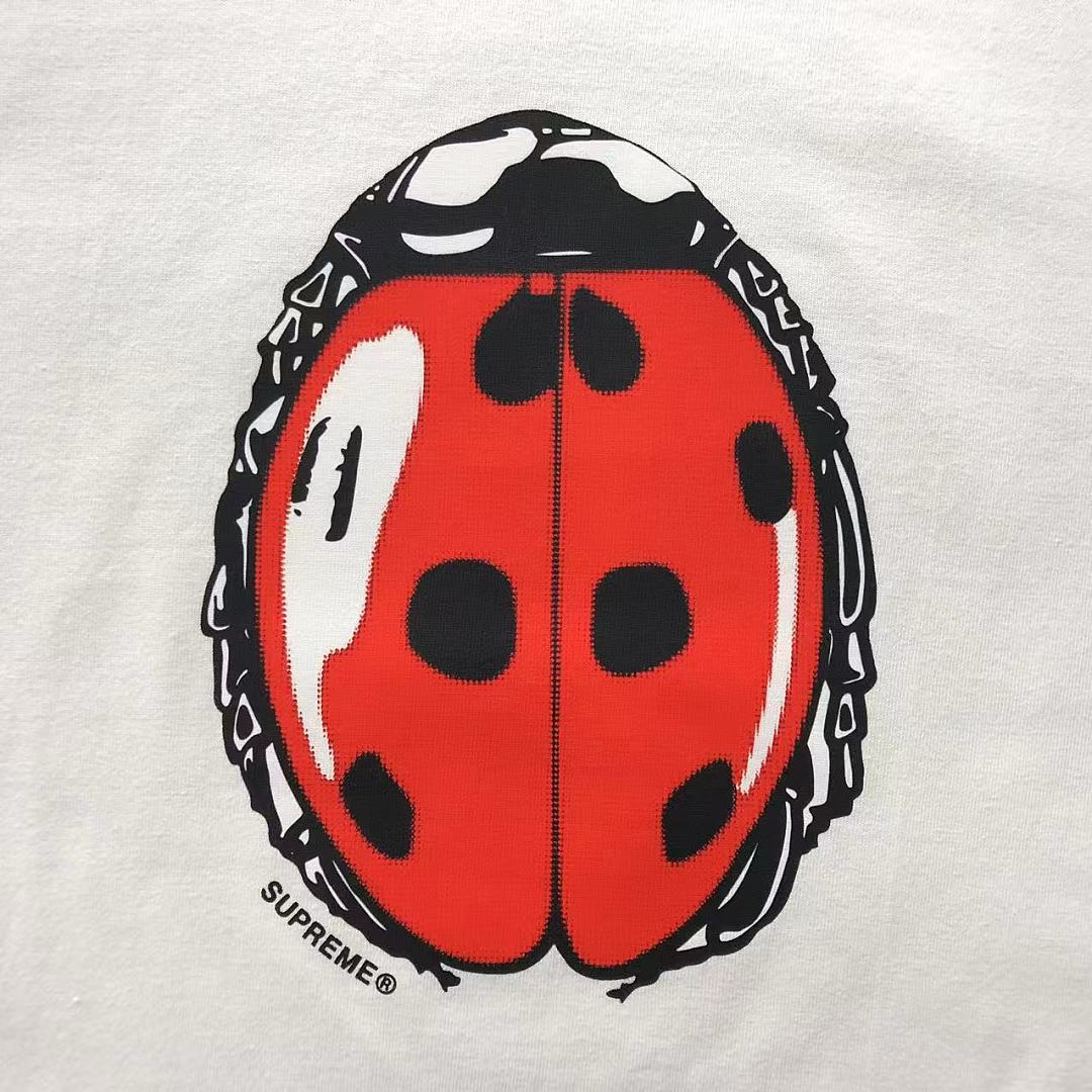Supreme 98 S⭐⭐R⭐⭐E T-SHIRT 4207211302 (Im 170Cm 60Kg I Wear Size M In The Phot) - Image 9