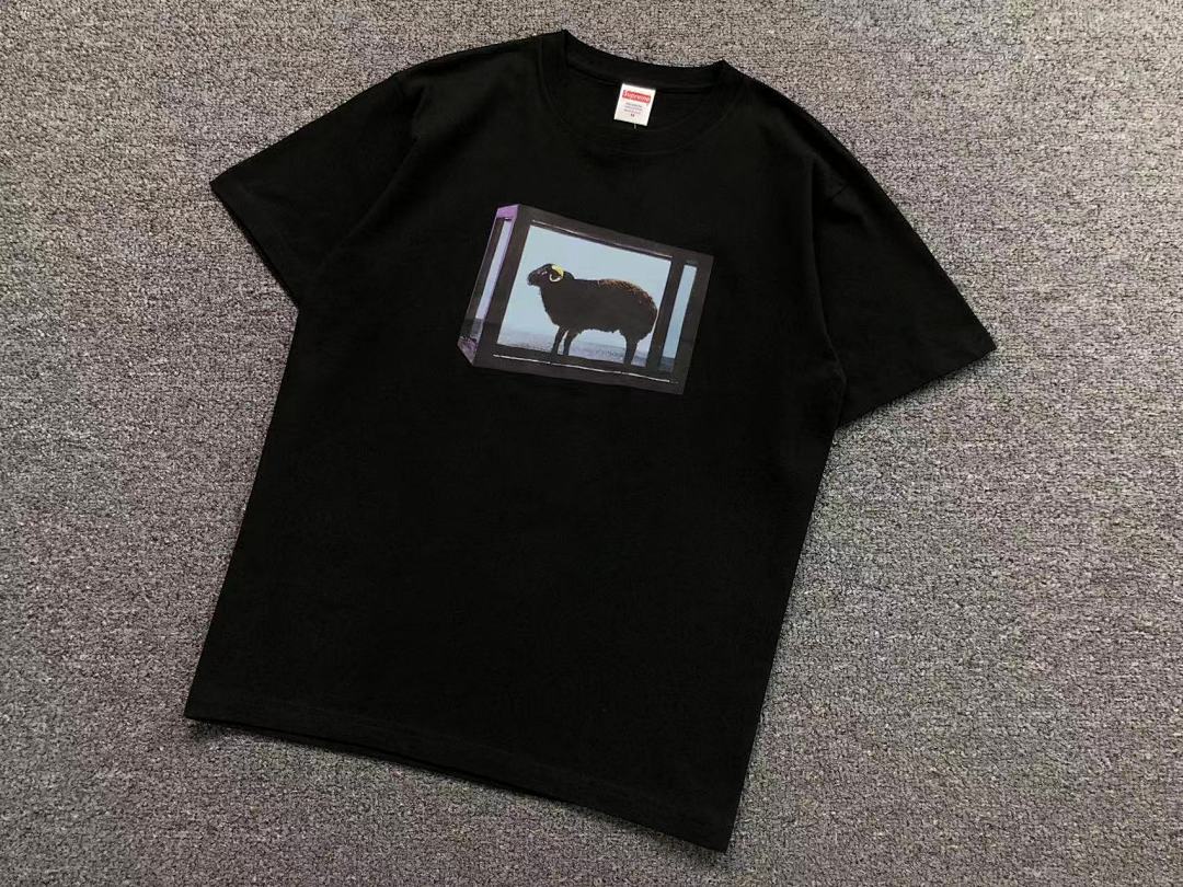 Supreme 95 S⭐⭐R⭐⭐E T-SHIRT 123122002 (Im 170Cm 60Kg I Wear Size M In The Phot) - Image 20
