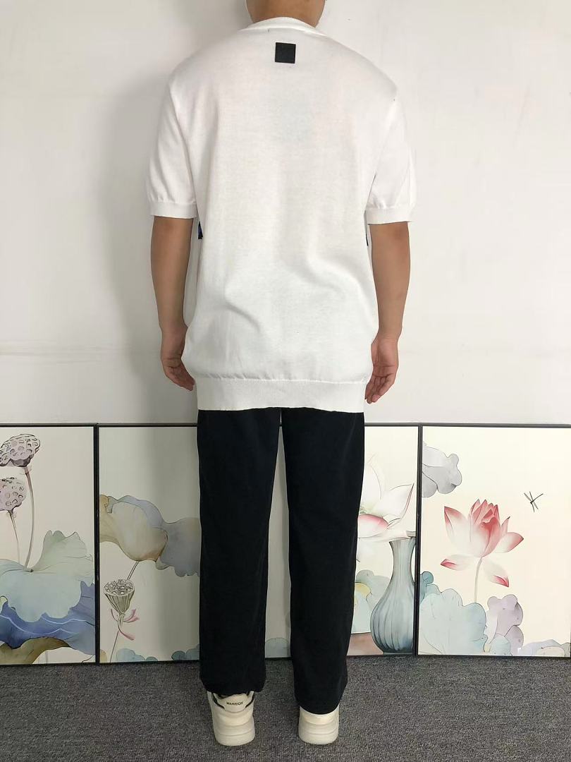 Louis Vuitton 178 L⭐ T-SHIRT 3207140721 (Im 170Cm 60Kg I Wear Size S In The Phot) - Image 4