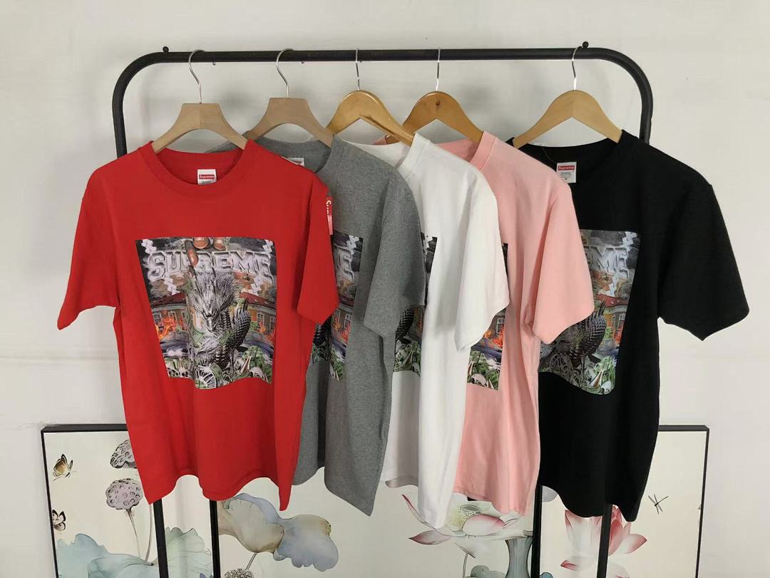 Supreme 95 S⭐⭐R⭐⭐E T-SHIRT 123141102 (Im 170Cm 60Kg I Wear Size M In The Phot) - Image 33