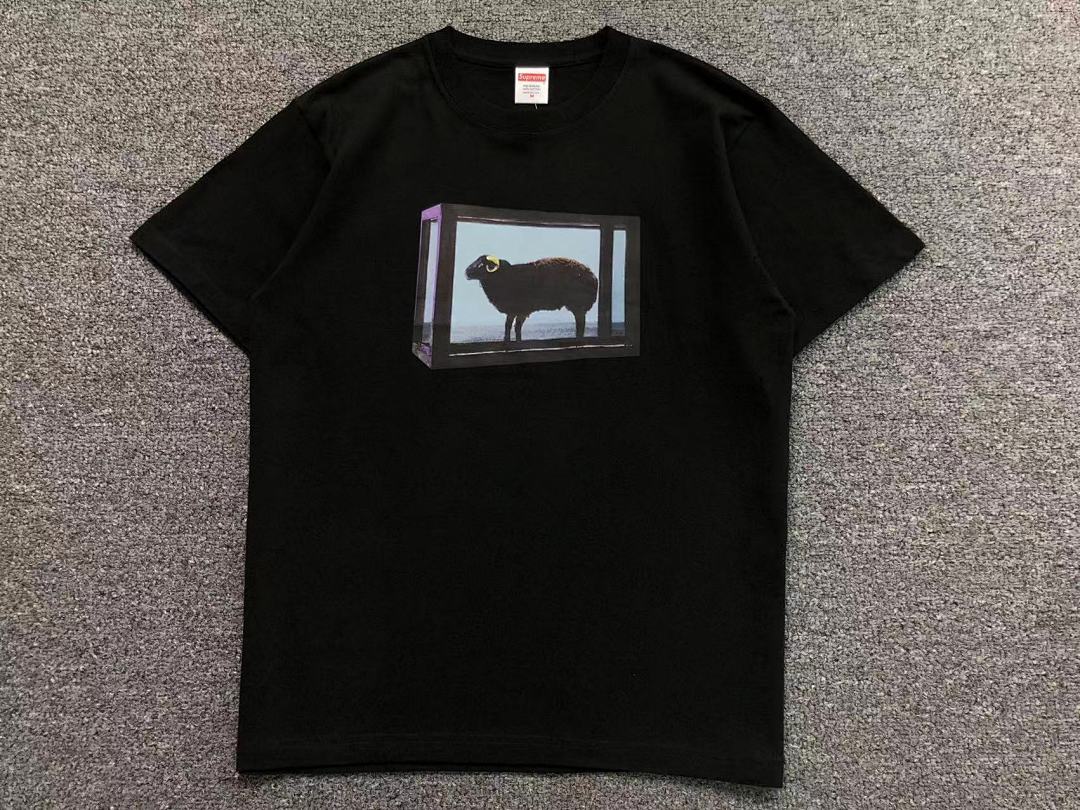 Supreme 95 S⭐⭐R⭐⭐E T-SHIRT 123122002 (Im 170Cm 60Kg I Wear Size M In The Phot) - Image 19