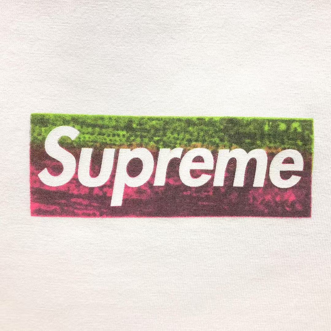 Supreme 98 S⭐⭐R⭐⭐E T-SHIRT 1104172733 (Im 170Cm 60Kg I Wear Size M In The Phot) - Image 8